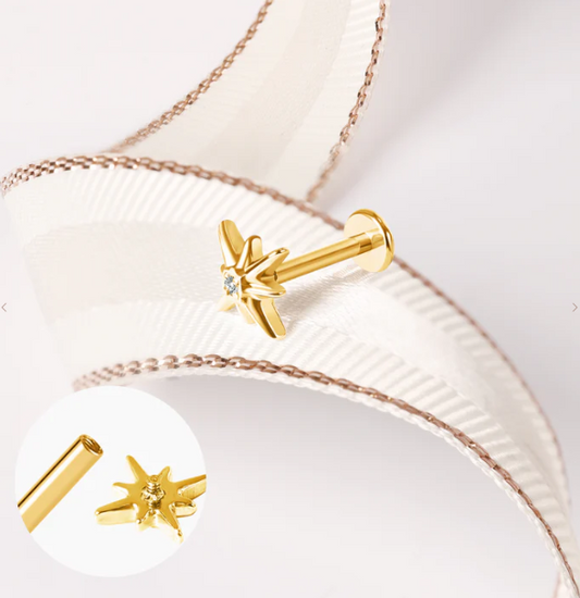 Piercing Plat Puce d'Oreille Unité Forme Acier Doré