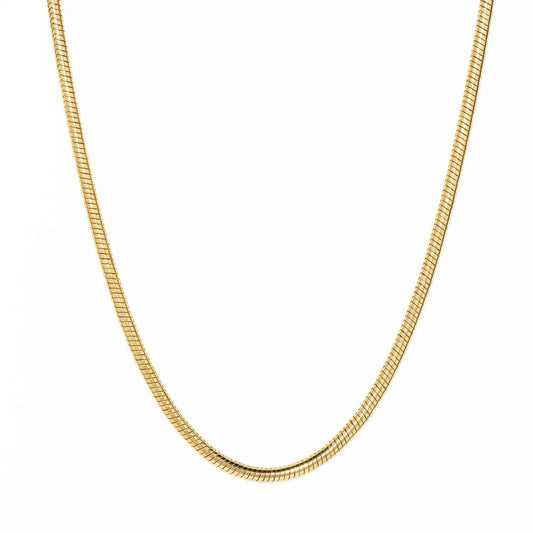 Collier Tour de Cou Maille Plate Doré